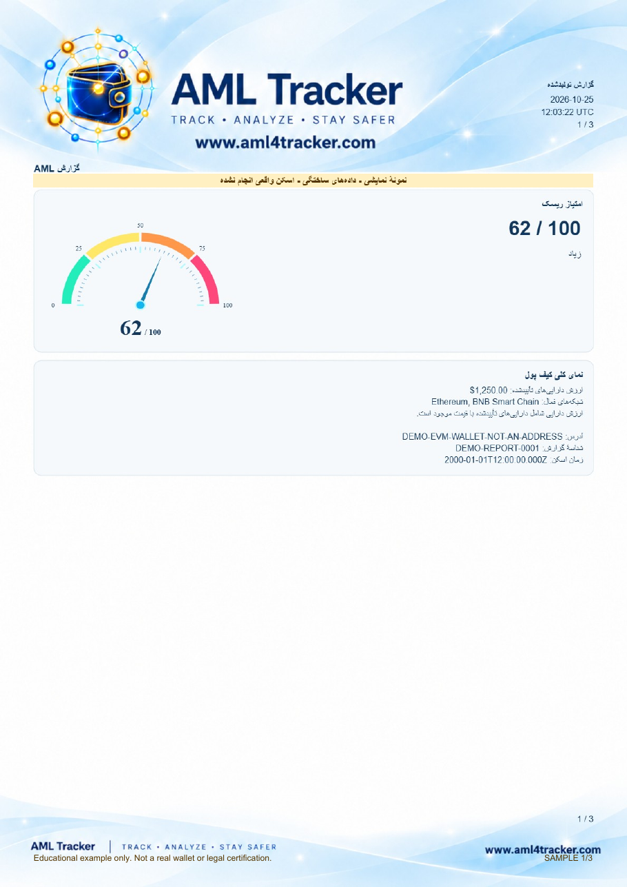 امتیاز ریسک، نمای کلی، آدرس ساختگی، شناسه و زمان اسکن.